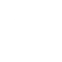 Blue Dolly Moving - logo
